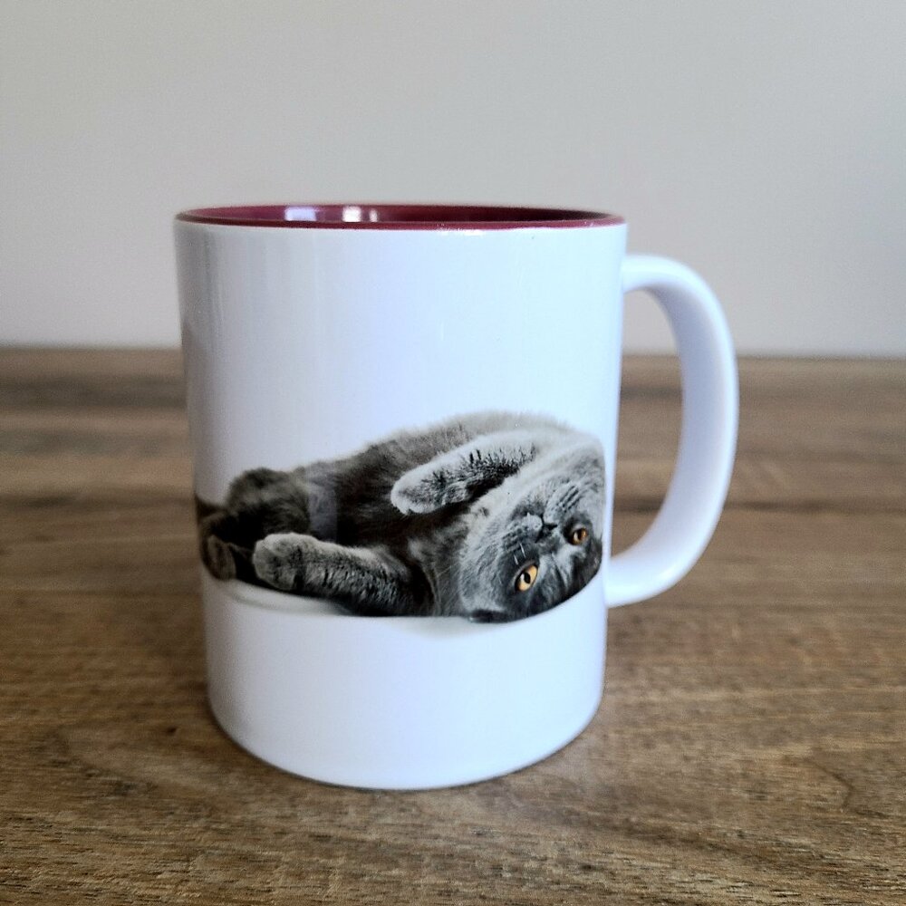 ''The best therapist has fur and four legs'' cat mug.